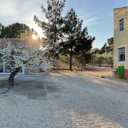 La Antigua Casa Del Astronomo Casa Rural Ricote Bagian luar foto