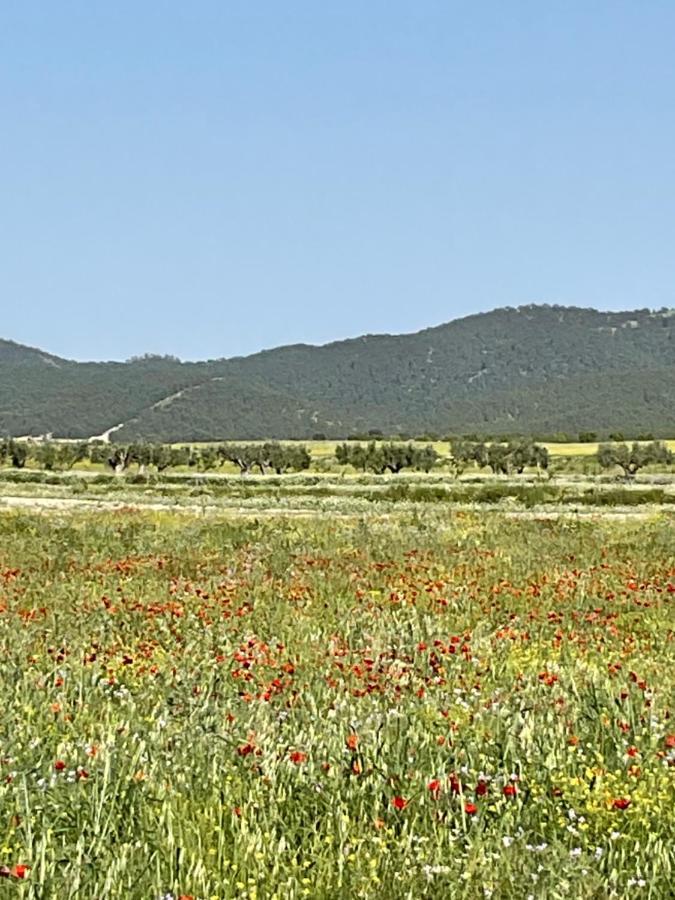 La Antigua Casa Del Astronomo Casa Rural Ricote Bagian luar foto