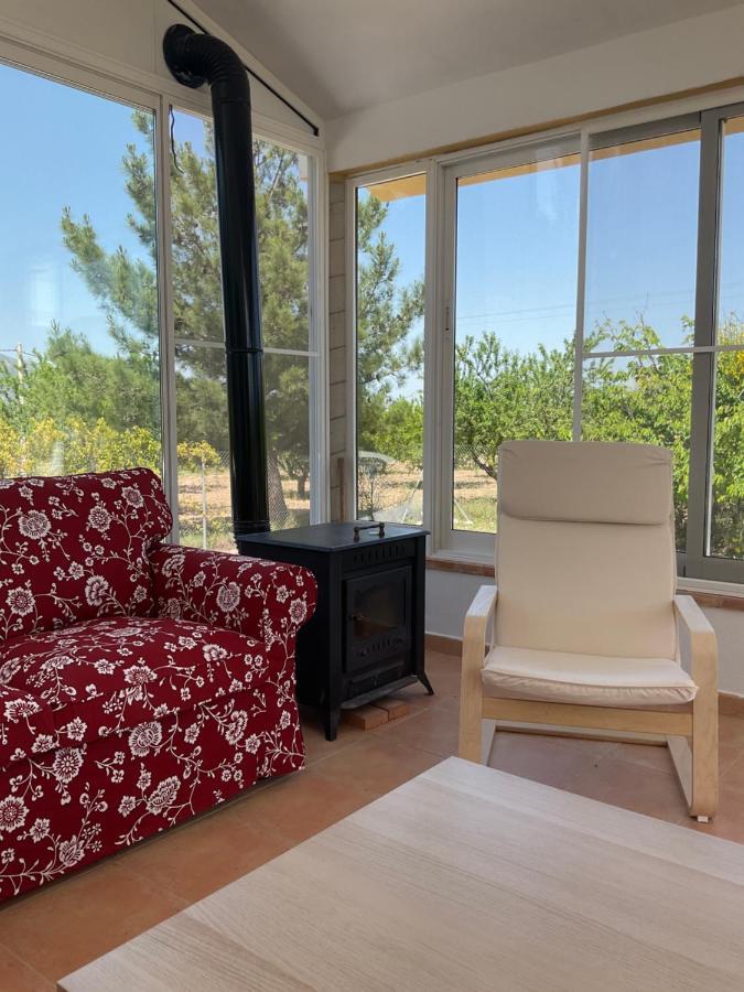 La Antigua Casa Del Astronomo Casa Rural Ricote Bagian luar foto