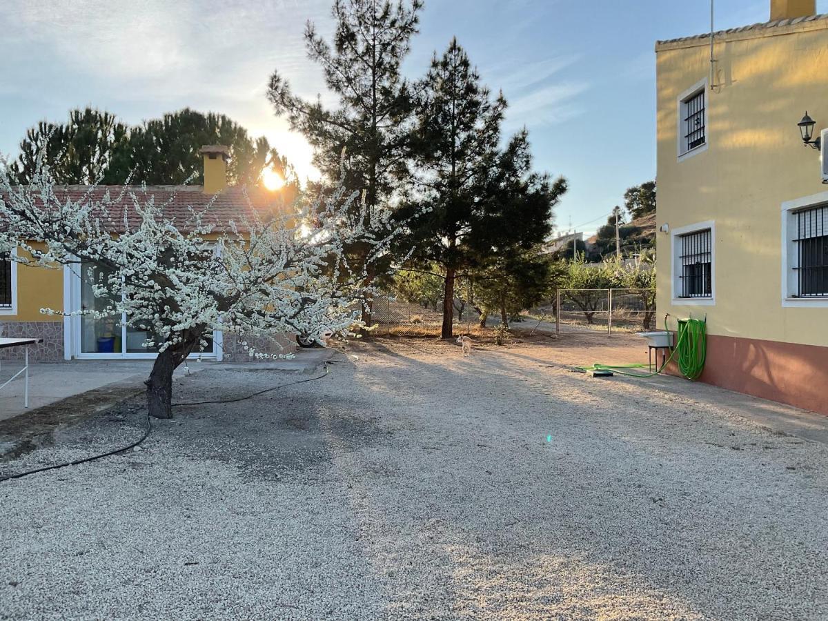 La Antigua Casa Del Astronomo Casa Rural Ricote Bagian luar foto
